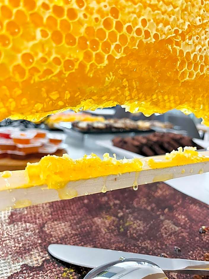 Aquamarine - Beach & SPA Hotel- All inclusive