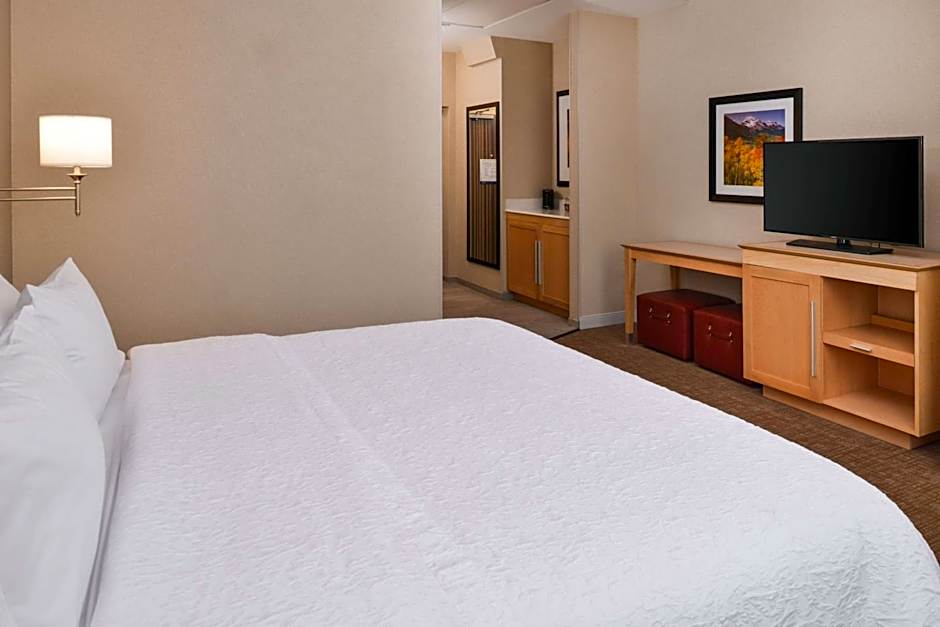 Hampton Inn By Hilton & Suites Denver-Speer Boulevard