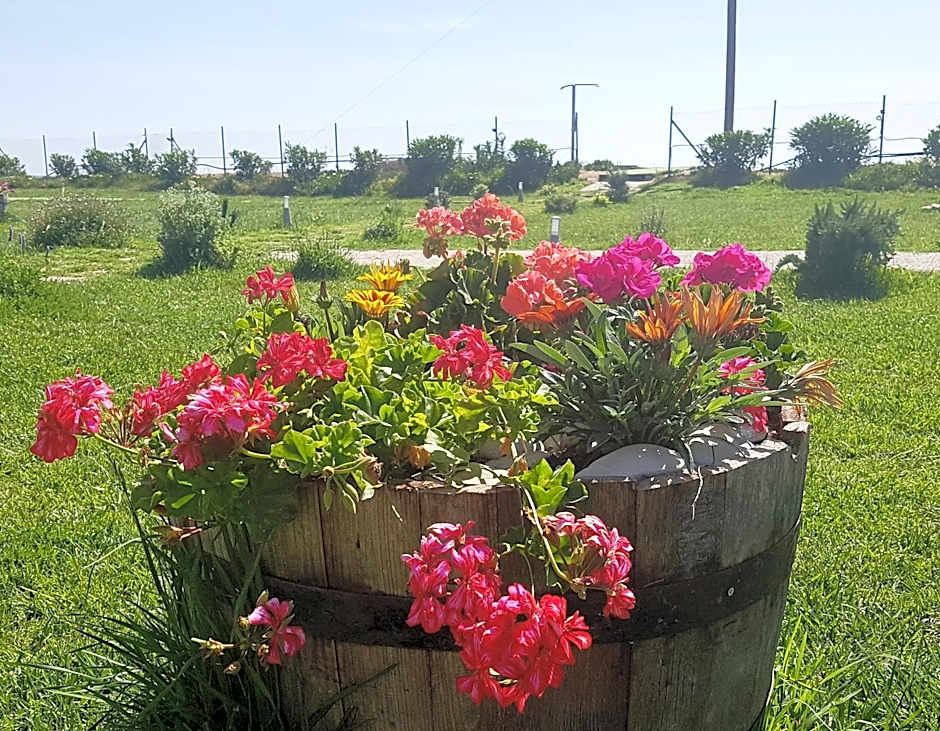 Ostria Hotel Kakovatos Beach