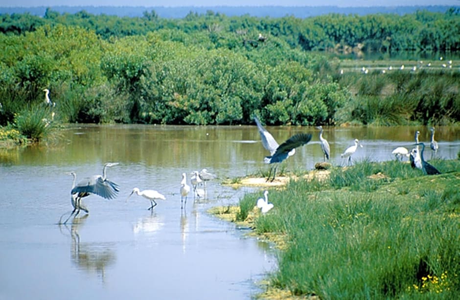 Holiday Inn Bordeaux Sud - Pessac by IHG
