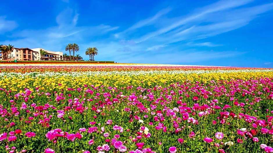 Carlsbad By The Sea Hotel