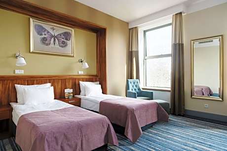 Superior Deluxe Double or Twin Room