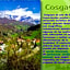 Hotel Cosgaya