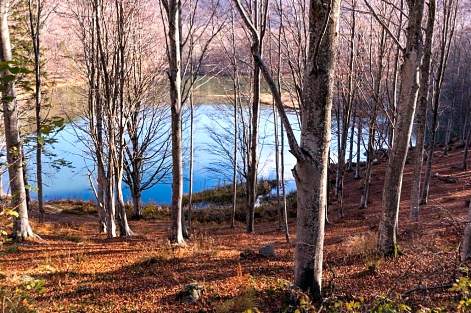 Viandanti, Artisti e Sognatori