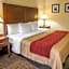 Comfort Inn And Suites