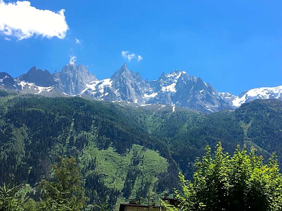 Appart'Hotel Aiguille Verte & Spa