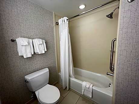 King Suite with Spa Bath
