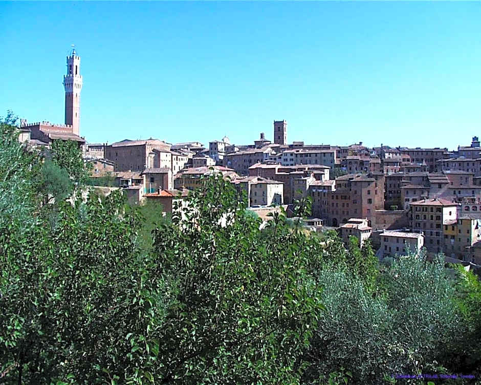 Bed & Breakfast Camollia