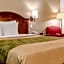 Econo Lodge Holland - Toledo