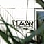 Lavan