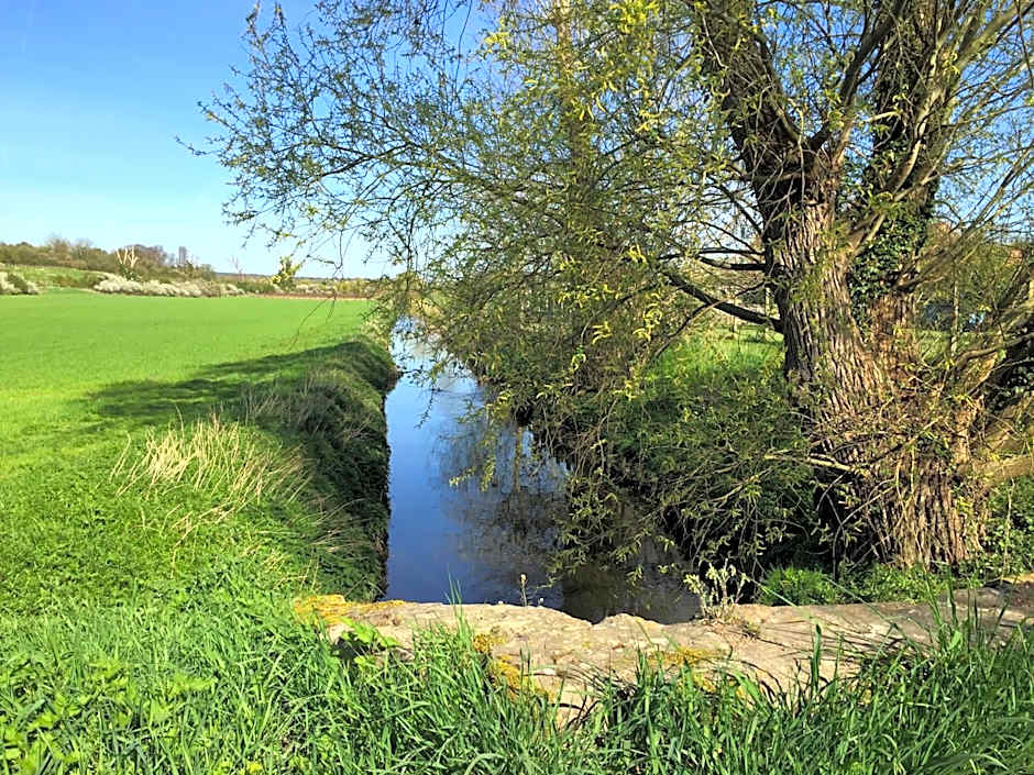 Domaine de la Villa du Moulin de Champie - Plaine de Versailles