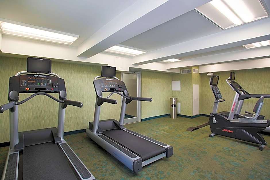 SpringHill Suites by Marriott Houston Downtown/Convention Center