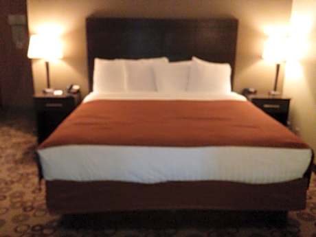 Studio King Suite - Non-Smoking