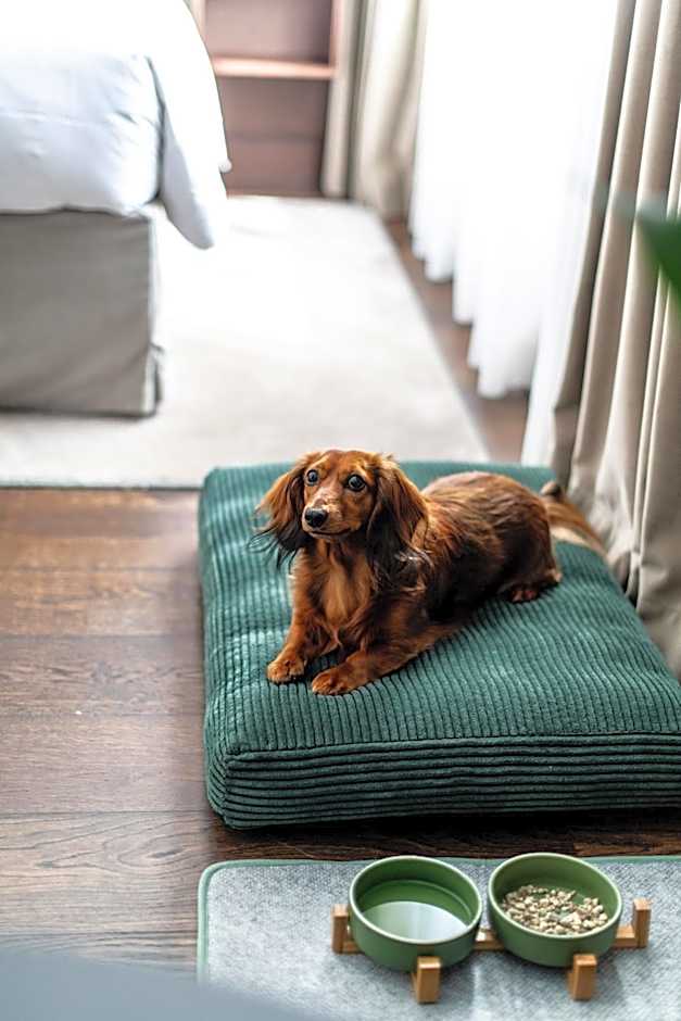 Le Louise Hotel Brussels - MGallery Collection