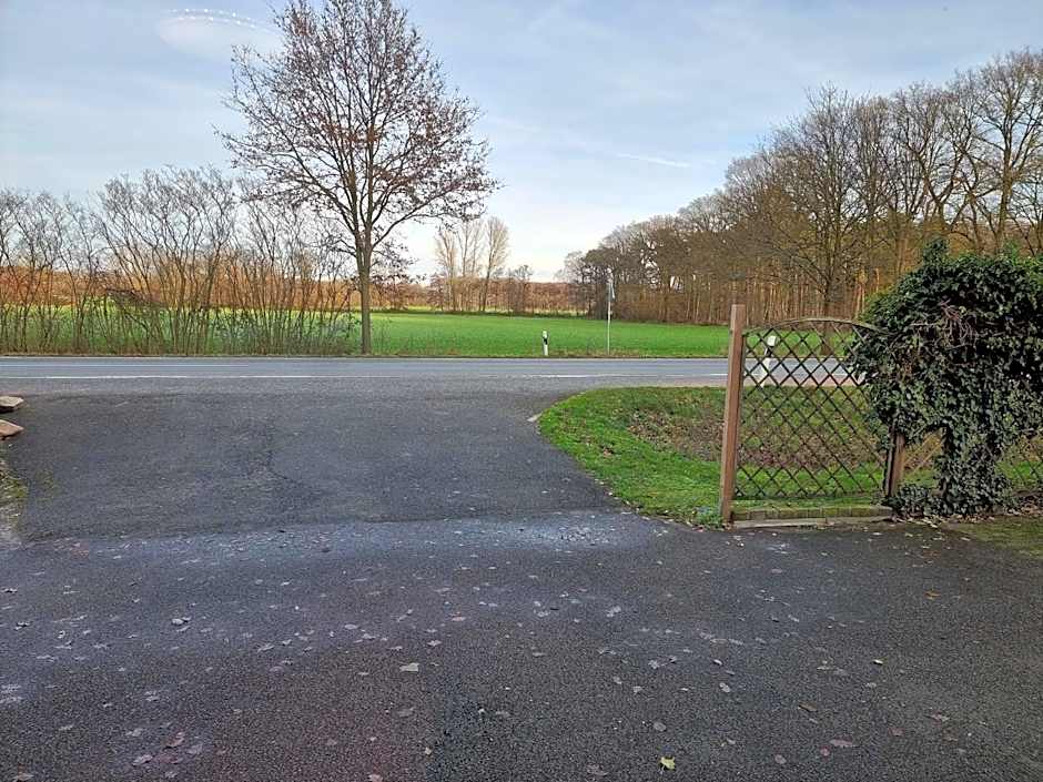 Gästehaus Grunewald Bed & Breakfast