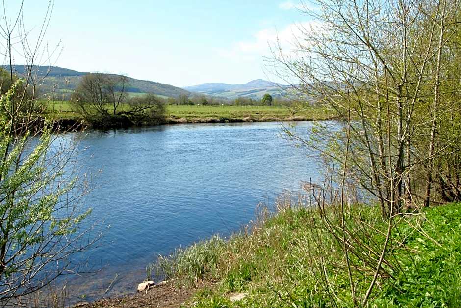 Logierait Pine Lodges