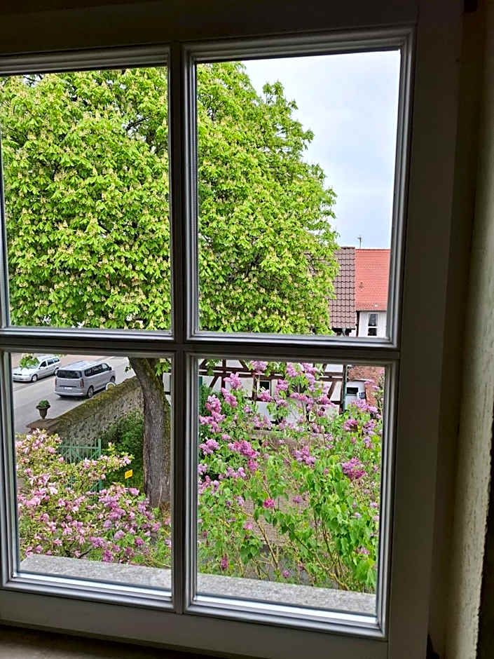 Landhotel Solmser Hof