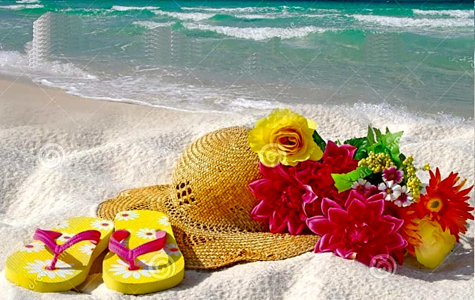 Hotel Bertha Fronte Mare