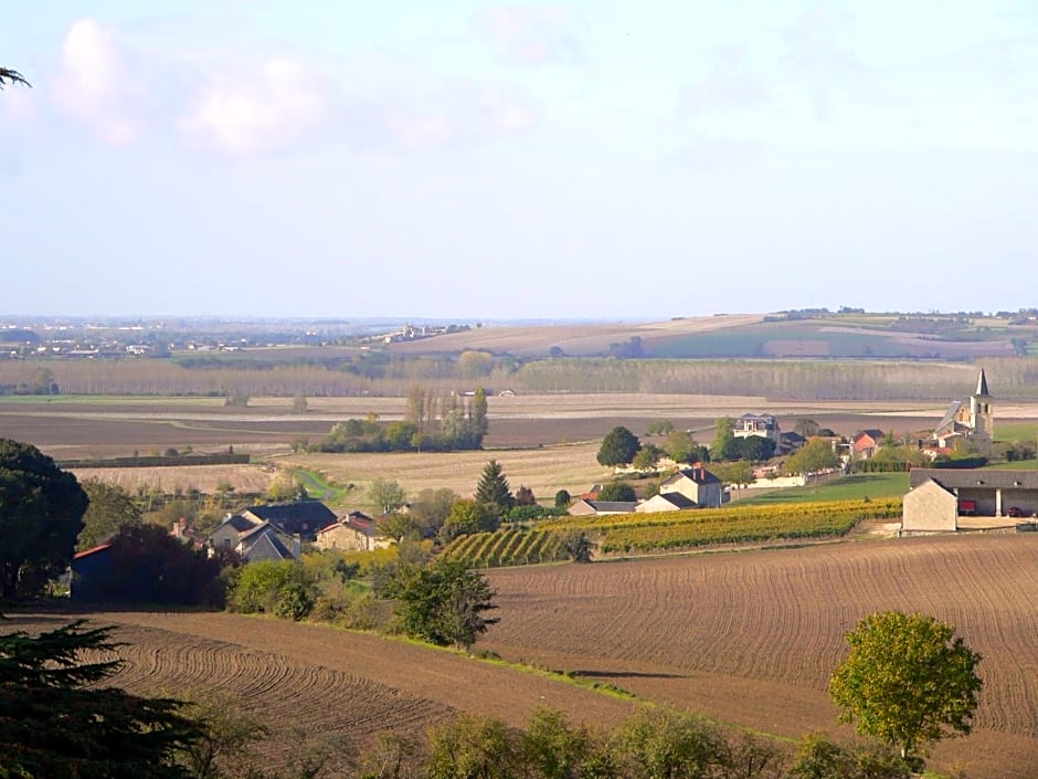 Château de Ternay