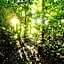 Playa Nicuesa Rainforest Eco Sanctuary