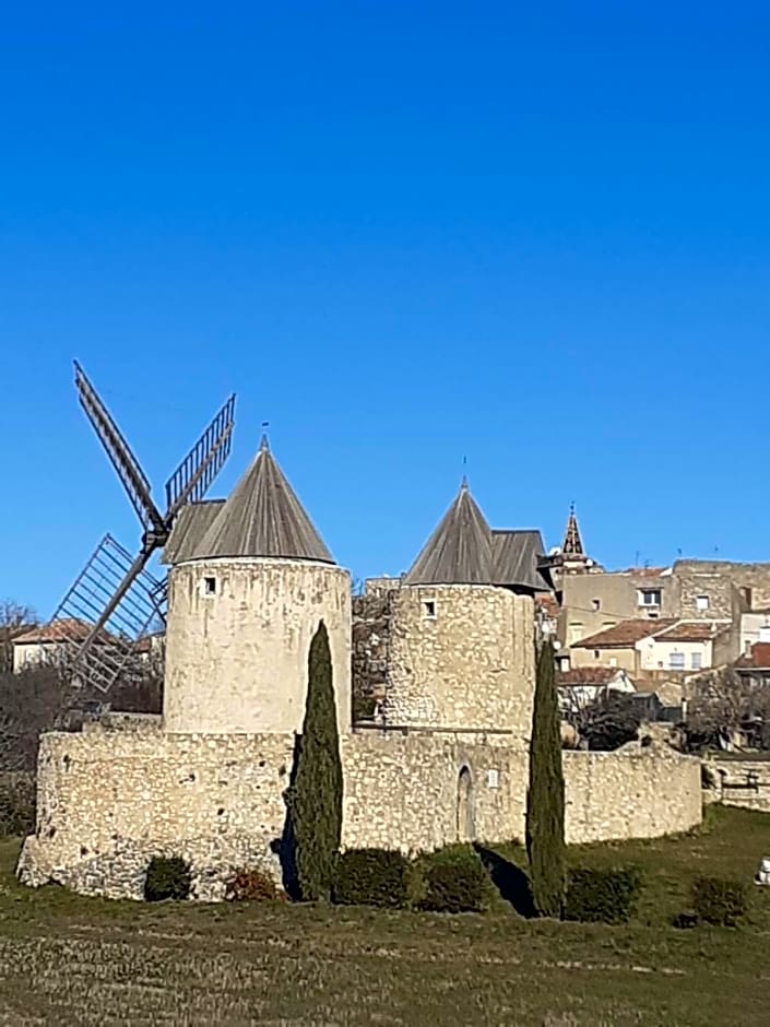 Authentique mas avec piscine en Provence