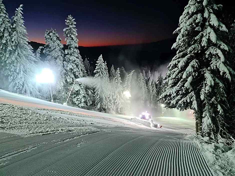 Enjoy Studios and Lovely Apartment Villa Park