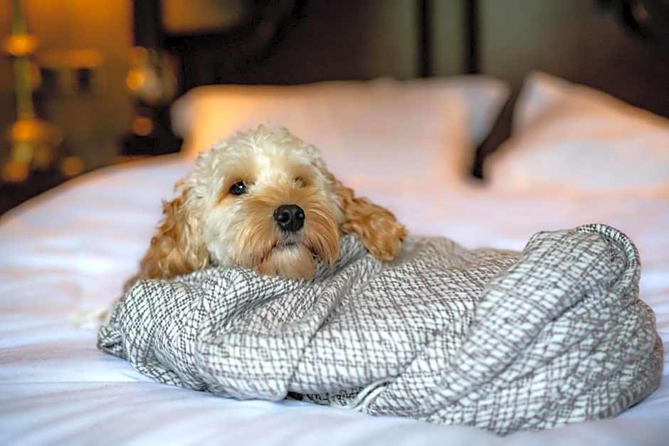 Melville Castle Hotel