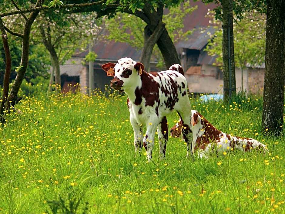 The Originals City, Hotel Le Savoy, Caen