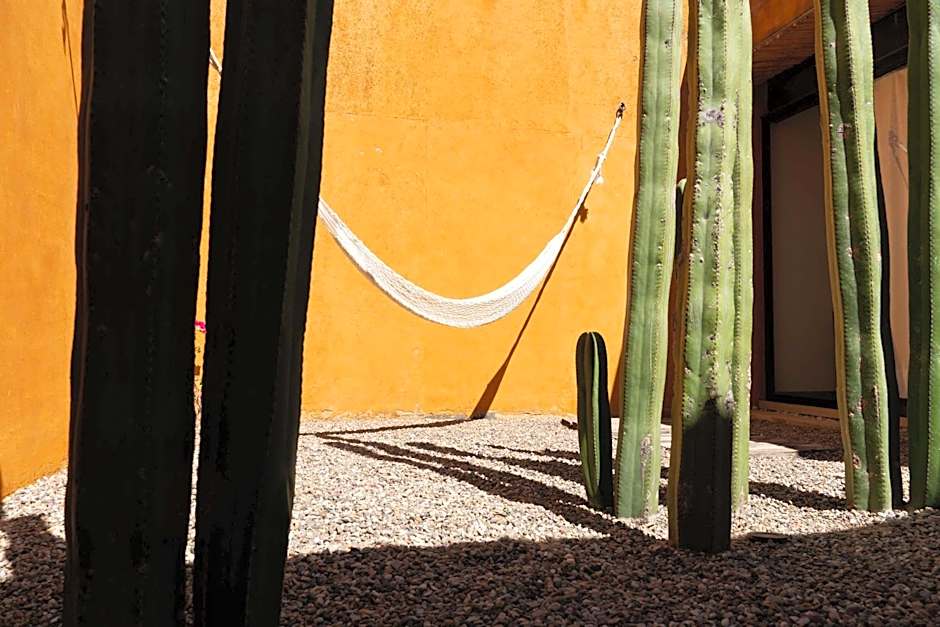 Hotel Cosijo - San Jeronimo Tlacochahuaya