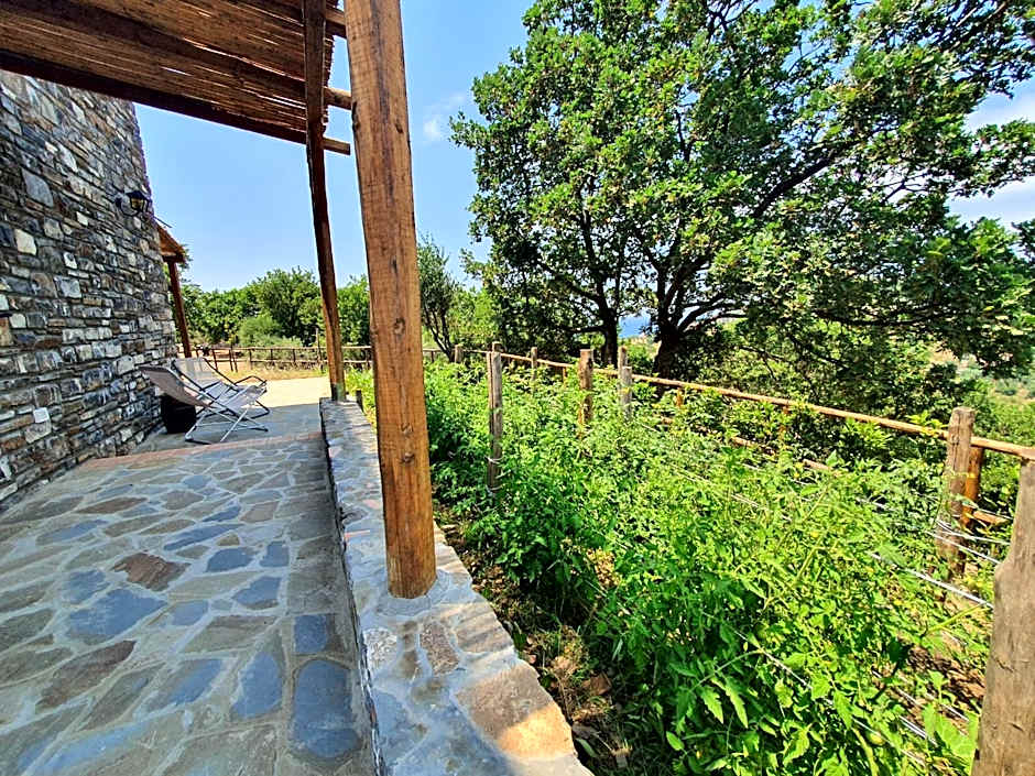 Agriturismo Le Terre di Veneré