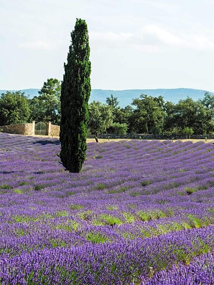 Château La Martinette