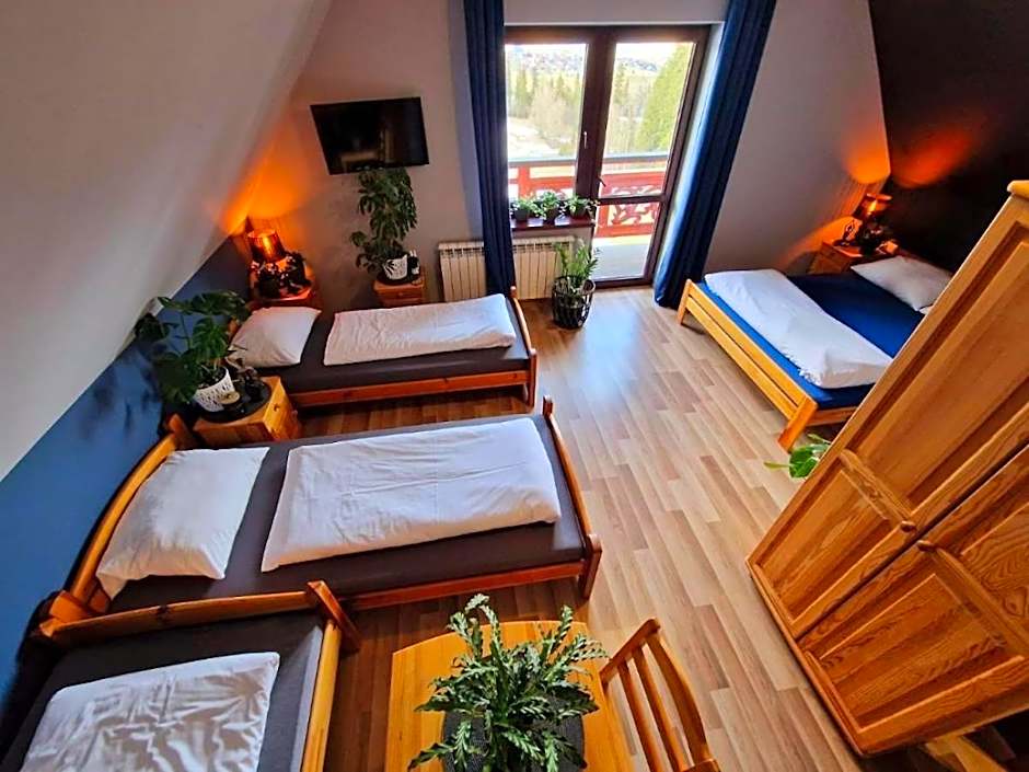 Pensjonat Harmatówka - ATRAKCYJNY PAKIET ŚWIĄTECZNY - blisko basenów termalnych