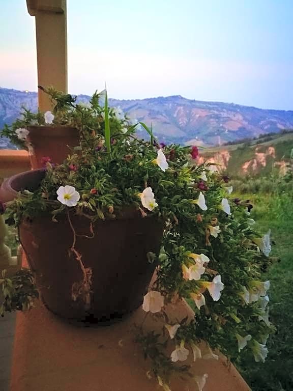 Dimora Villa Agreste