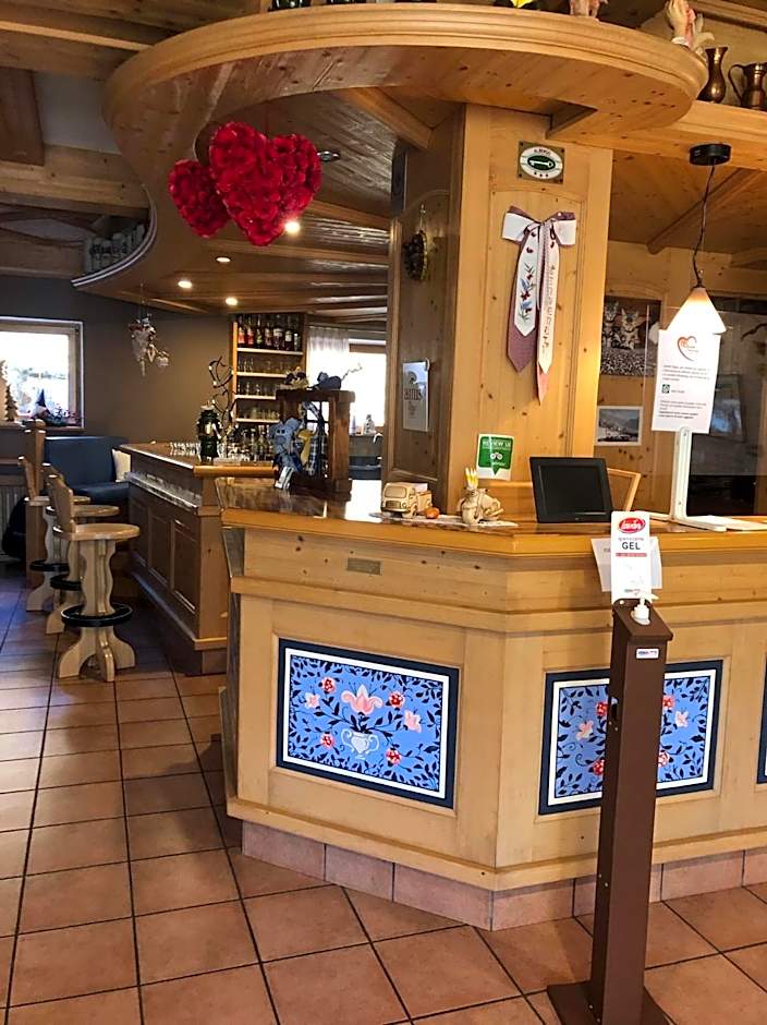 Alpine Touring Hotel-petfriendly