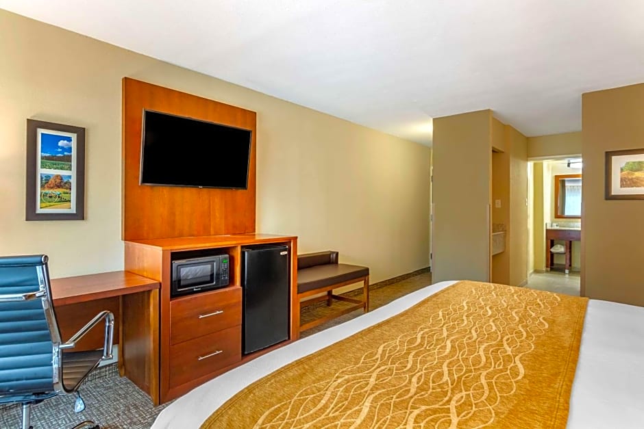 Comfort Inn Petersburg - Fort Lee