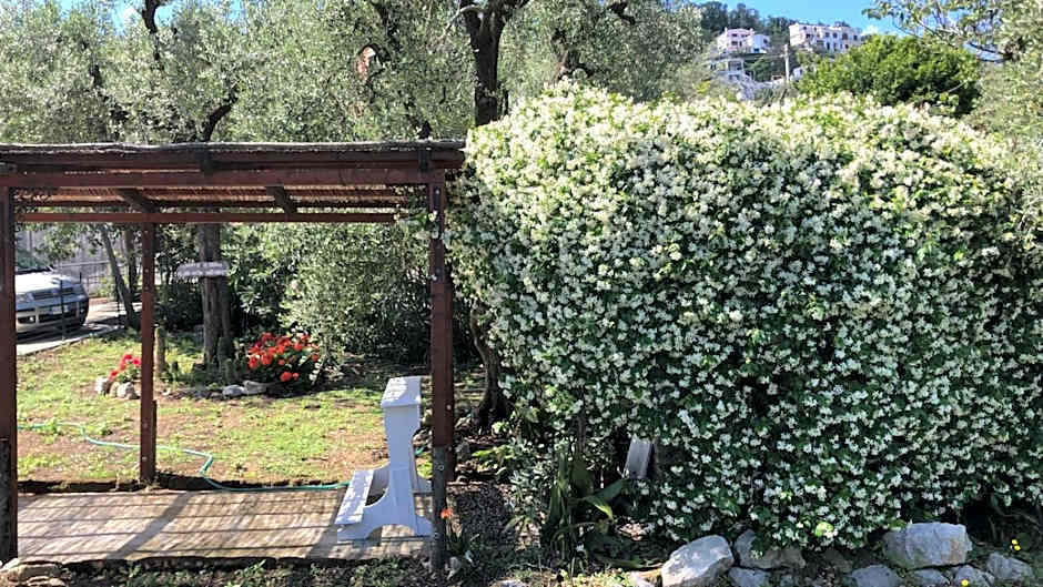 Oasi Madre della Pace