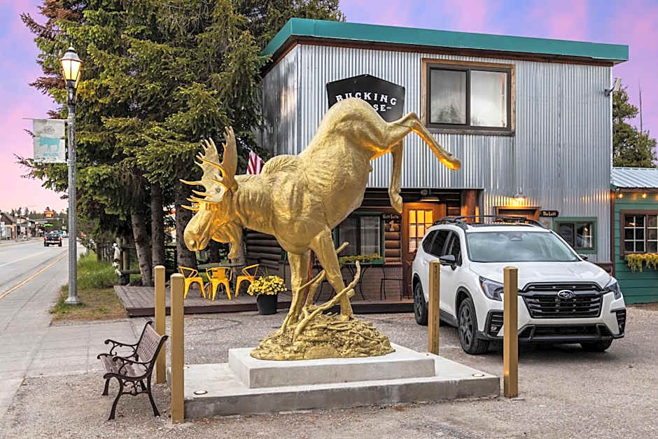 The Bucking Moose