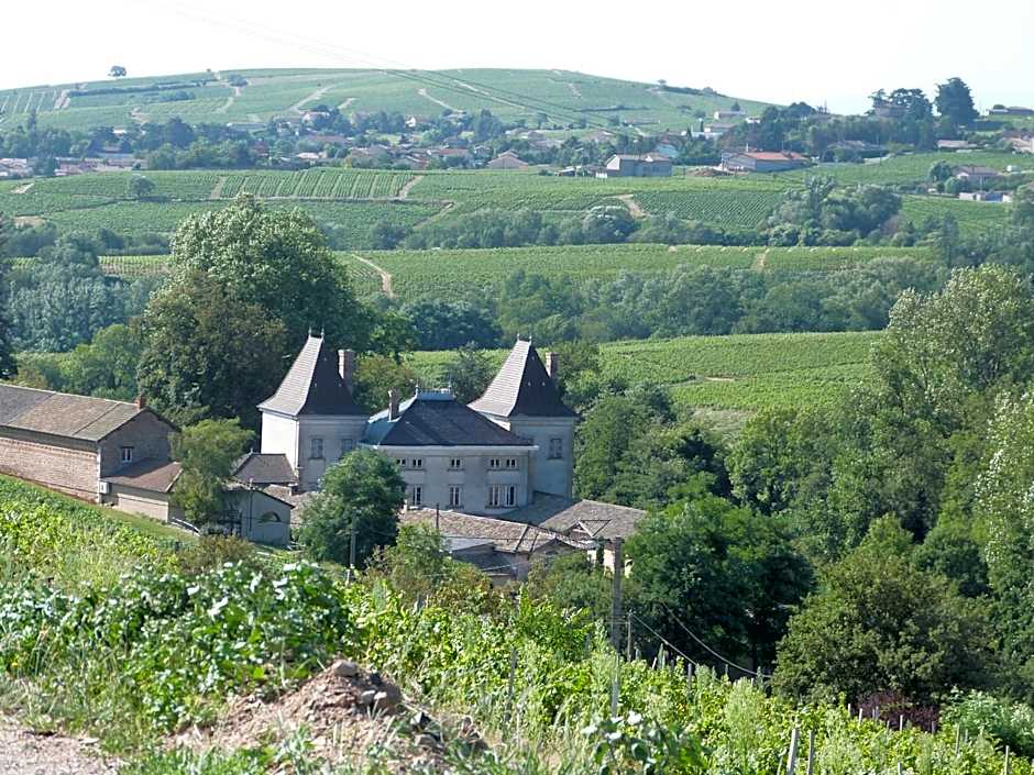 Logis Hotel Des Grands Vins