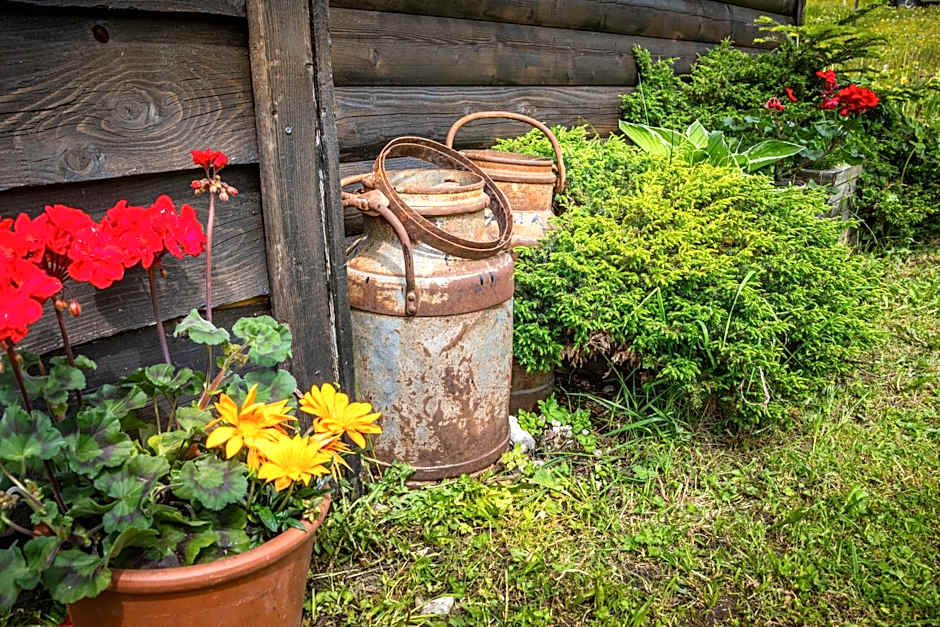 Schnaitstadl-Alm Selbstversorgerhütte