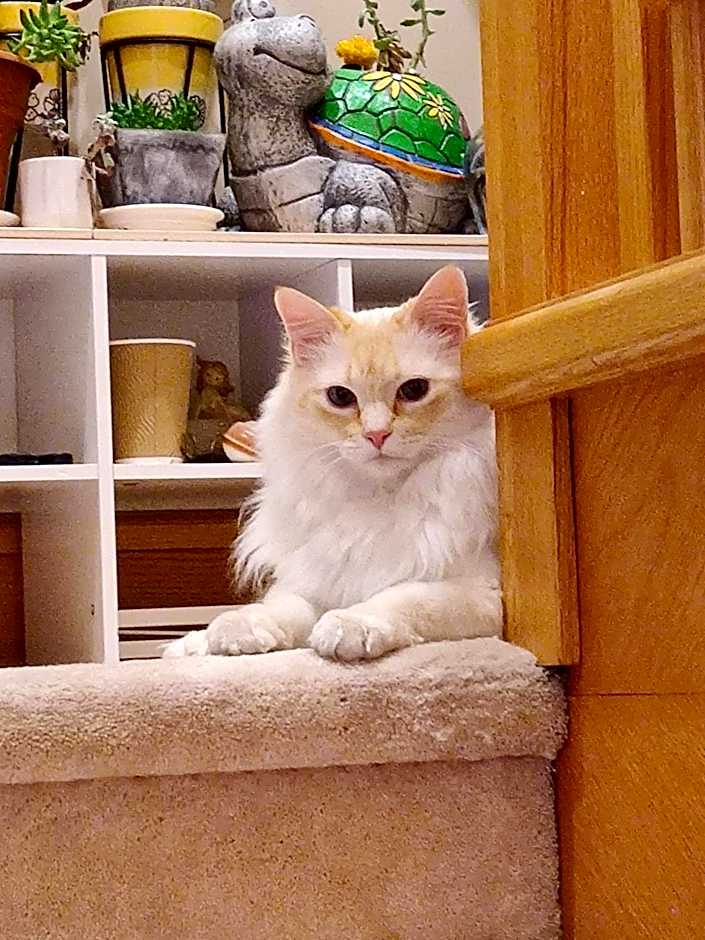 Helen's House / Close to Skytrain and Airport