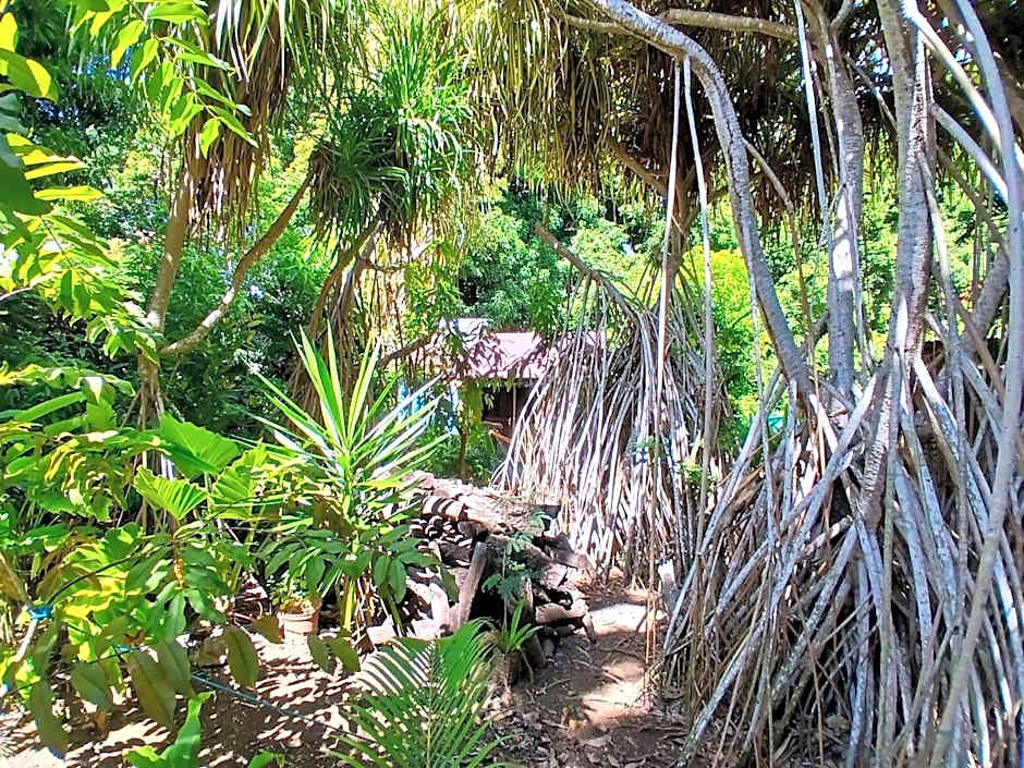 Résidence Les MANGUIERS OTANTIK