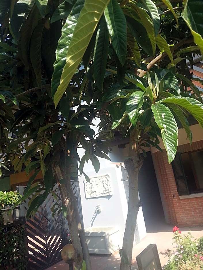 Le Residenze del Tenore