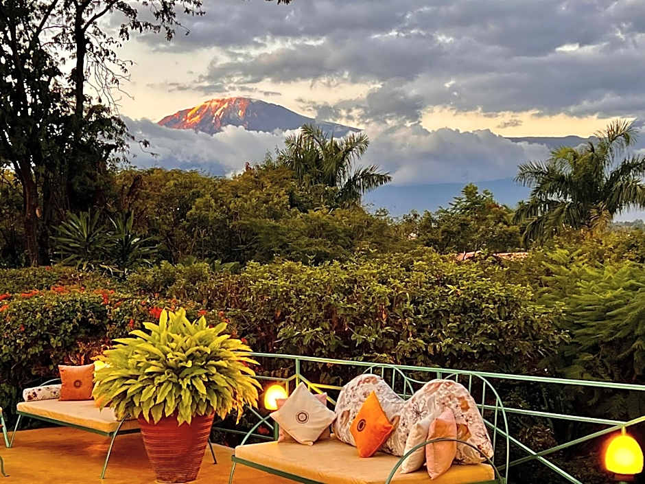 Pink Flamingo Boutique Hotel