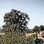 Suiten Zantl