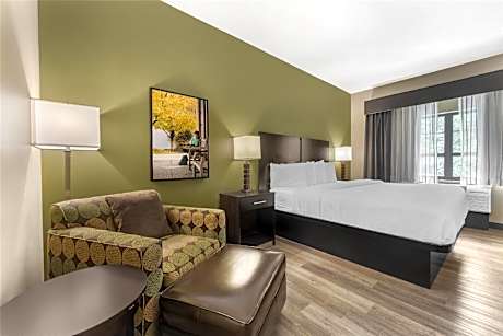 King Room - Non-Smoking