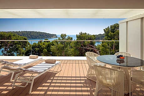 Executive Suite with Terrace