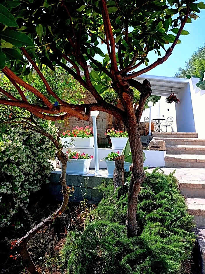 casa l'Ulivariu affittacamere