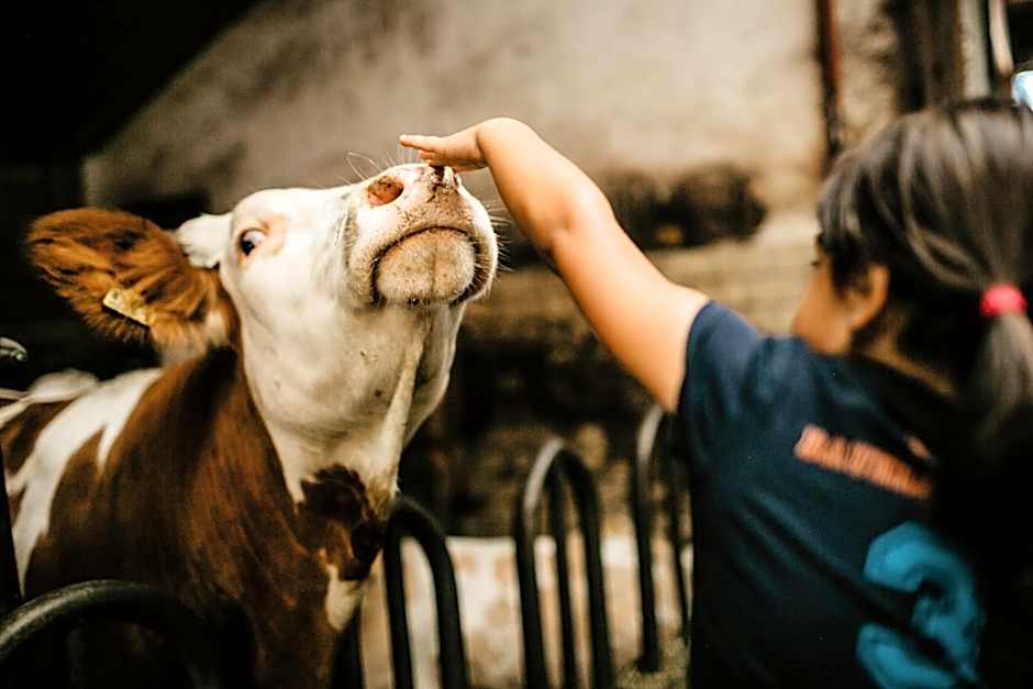 Weßner Hof Landhotel & Restaurant