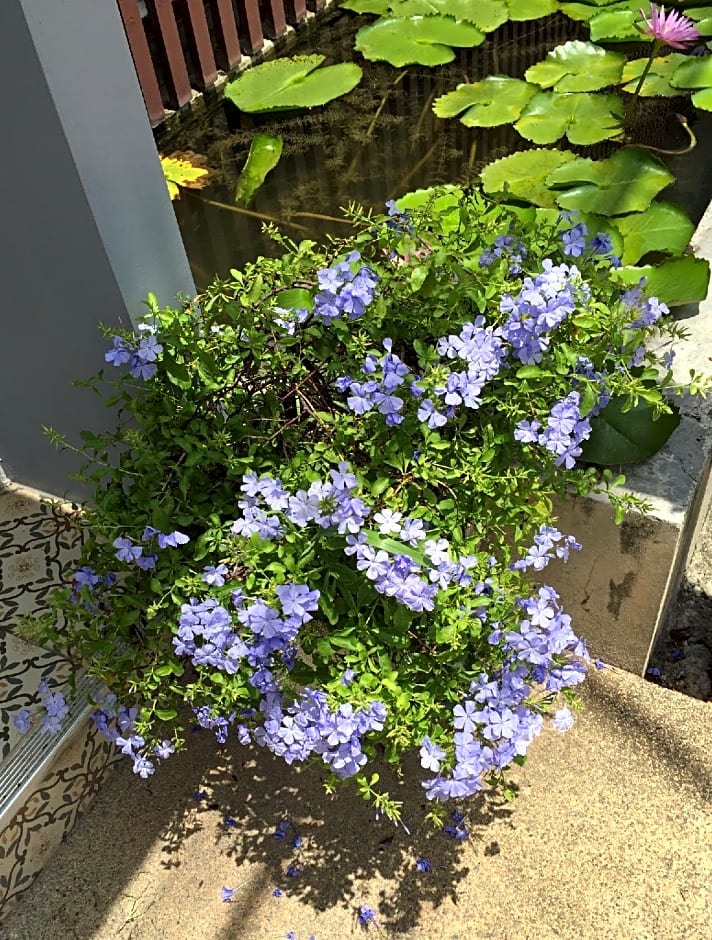 Good Day Phuket Boutique Bed and Breakfast