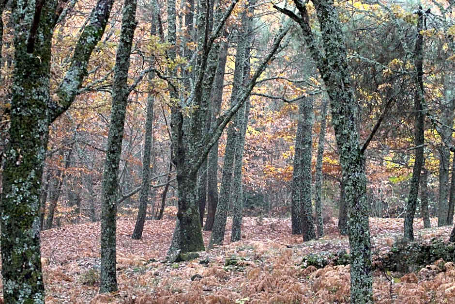 Hostel El Lago, Caceres